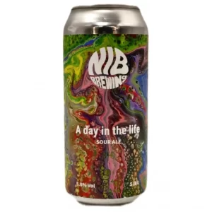 NIB Brewing - A Day In the Life 44cl