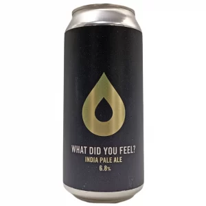 Polly’s Brew Co.  What Did You Feel? 44cl - Beermacia