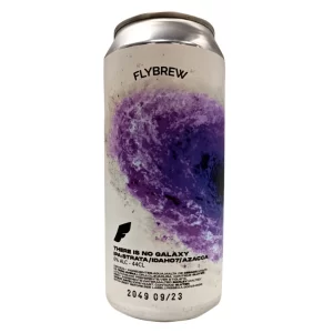 FlyBrew  There Is No Galaxy 44cl - Beermacia