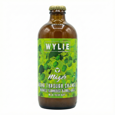 Cervesa Màger - Going Through Changes 33cl